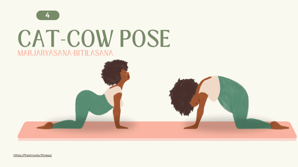 Cat-Cow Pose (Marjaryasana-Bitilasana)