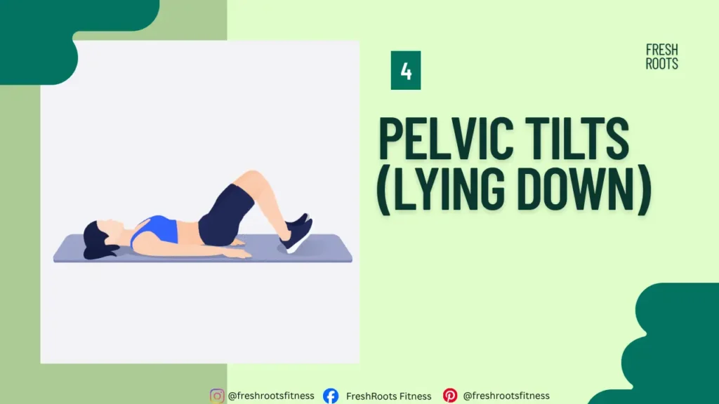 Pelvic Tilts (Lying Down), Squat Exercises During Periods