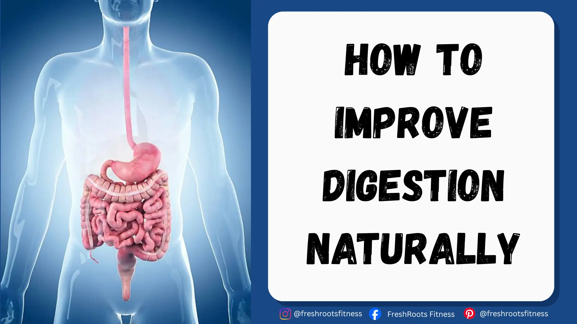 How to Improve Digestion Naturally